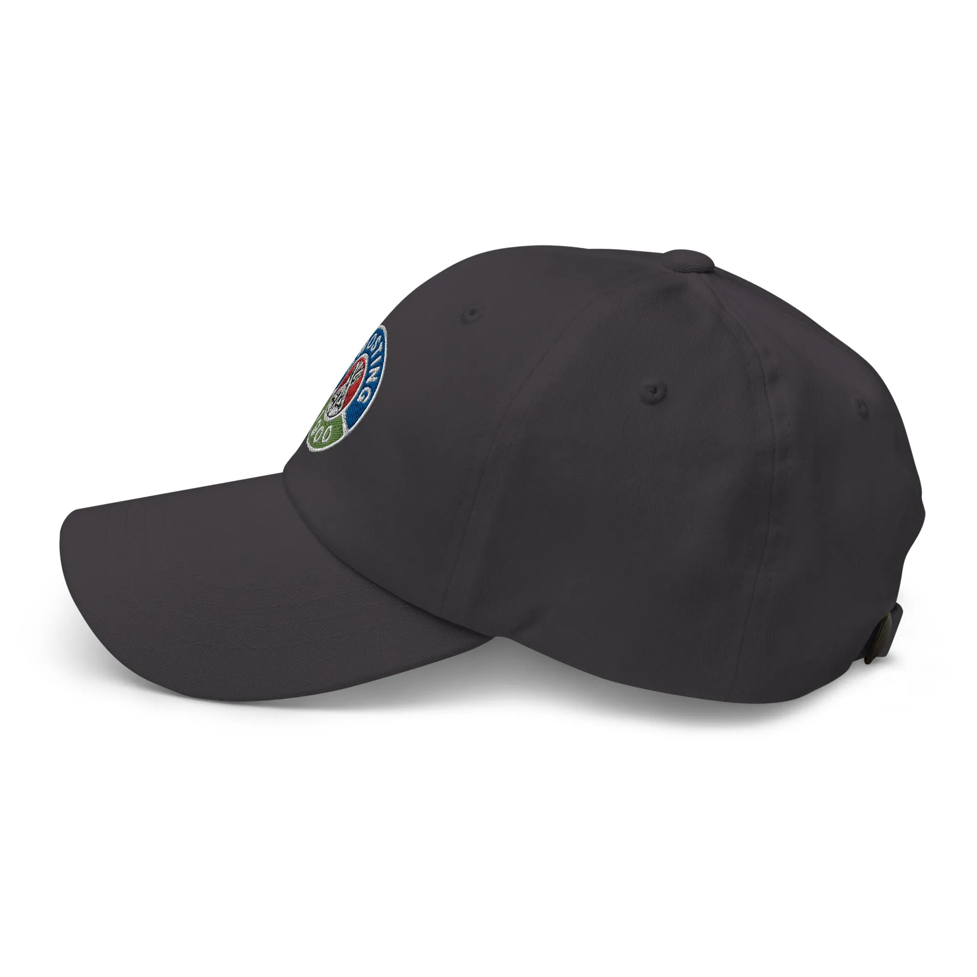 Awosting Classic Dad Hat