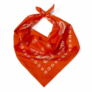 Double Happiness Dragon Silk Bandana