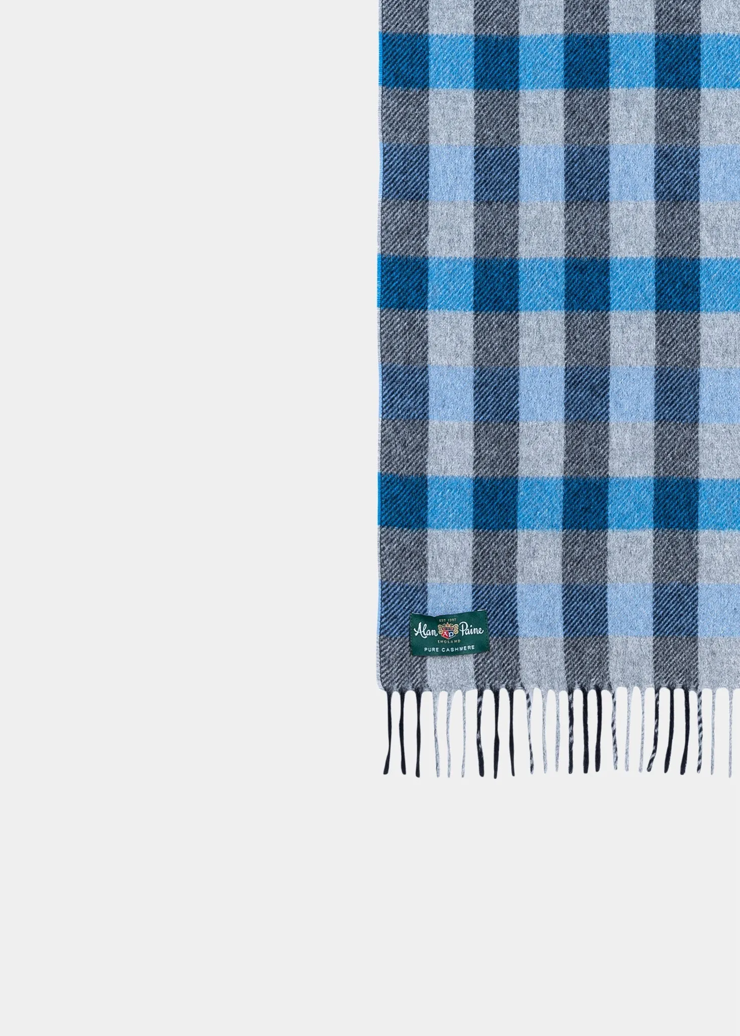 Kinsley Cashmere Check Scarf In Blue