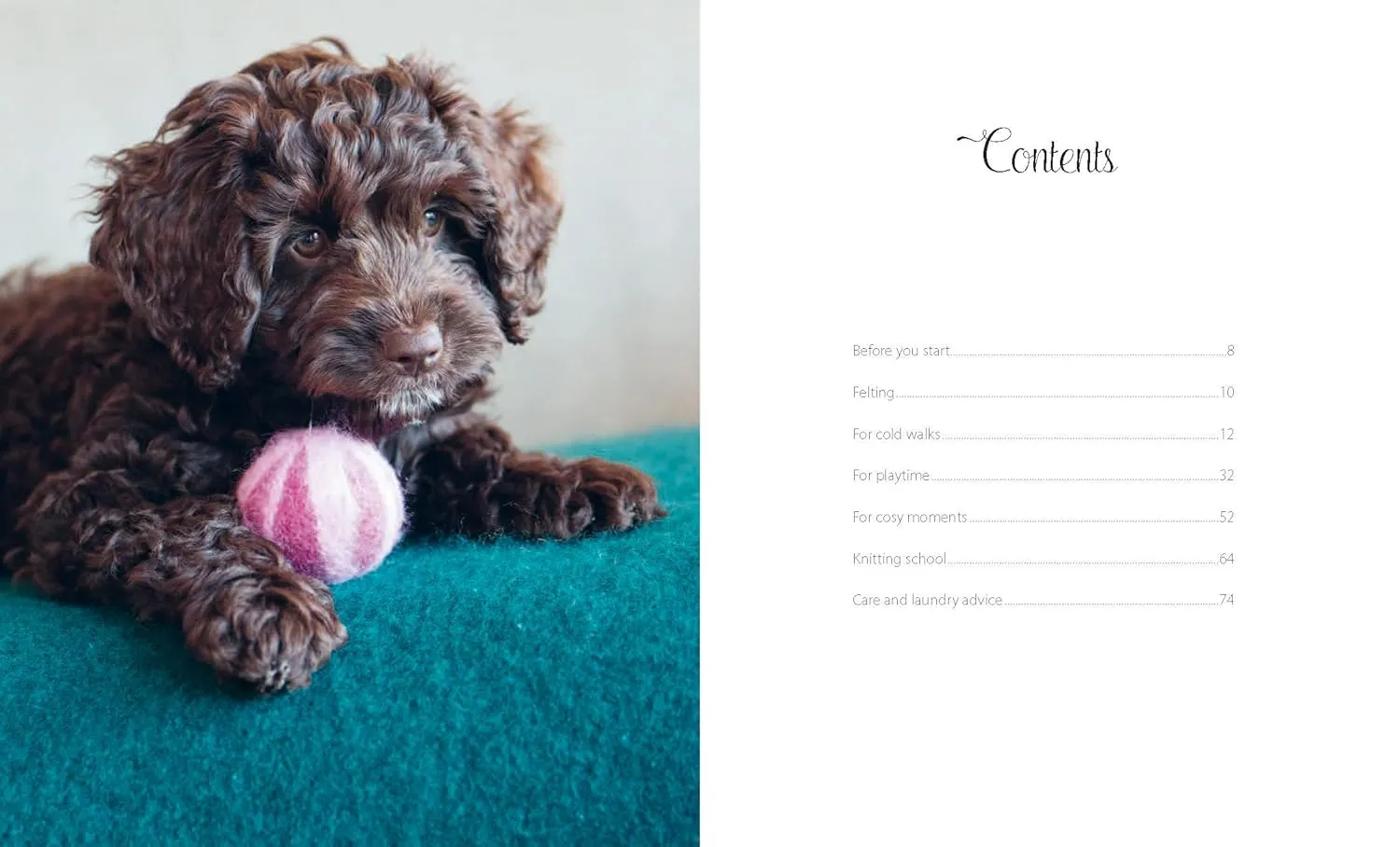 Knits for Dogs: Sweaters, Toys and Blankets for Your Furry Friend
