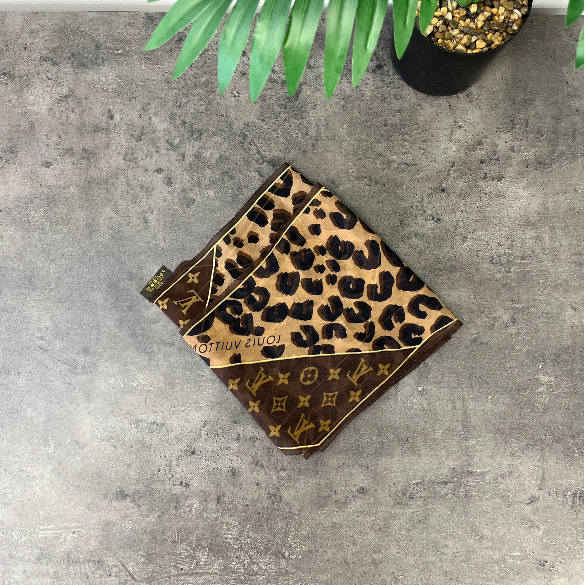 Women's Monogram Leopard Print Scarf Brown